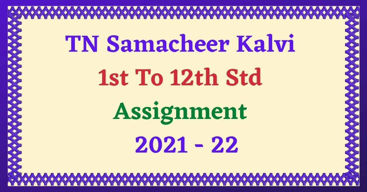 TN all class Assignment pdf